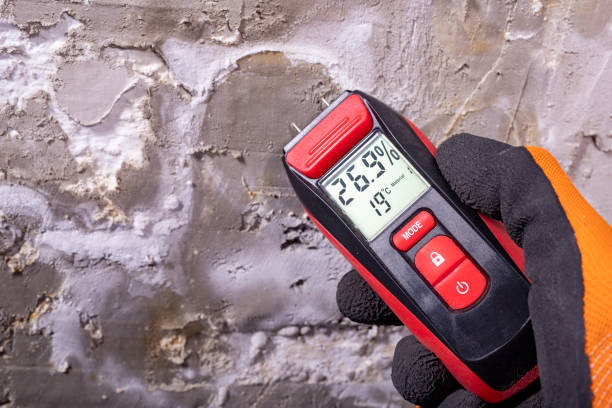 Best Office Mold Removal Services  in Porter Heights, TX
